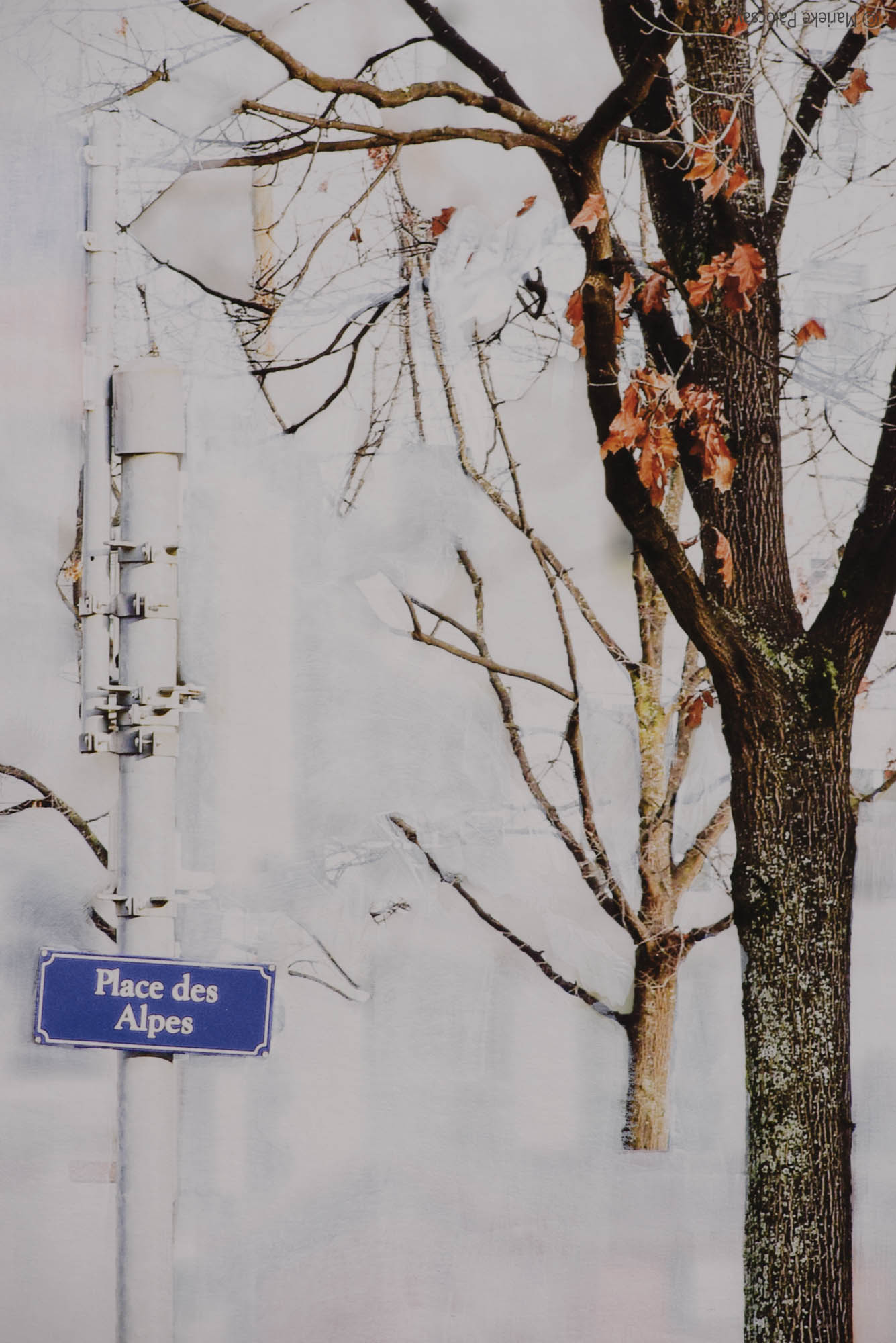 Place des Alpes, titre