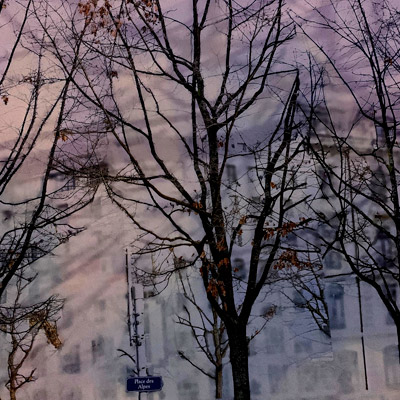 grand arbre dans un parc