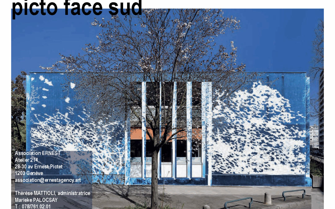 PICTO FACE SUD